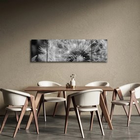 Obraz - nasiona dmuchawca (170x50 cm)