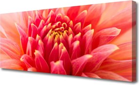 Obraz canvas Subtelny Pączek Kwiatowy