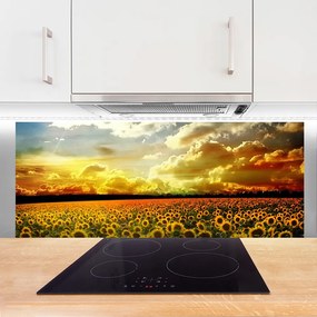 Panel nad blat kuchenny Bezkresne Pole Słoneczników