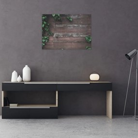 Obraz - Bluszcz (70x50 cm)