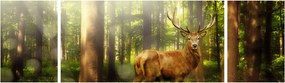 Obraz jelenia w lesie (170x50 cm)