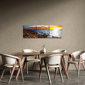 Obraz - Mewa lecąca nad wybrzeżem (z zegarem) (90x30 cm)