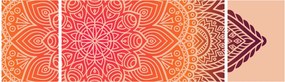 Obraz - Mandala sztuka (170x50 cm)