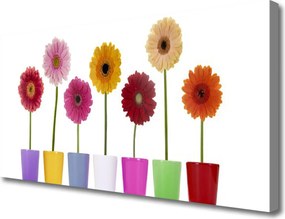 Obraz canvas Harmonijna Flora Botaniczna