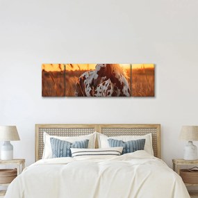 Obraz - Koń o zachodzie słońca (170x50 cm)