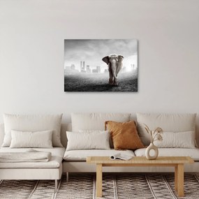 Obraz - Słonie w wielkim mieście, wersja czarno - biała (70x50 cm)