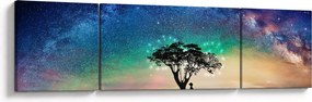 Obraz - Odpoczynek pod gwiazdami (170x50 cm)