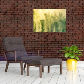 Obraz - Szczegół wiosennej mglistej przyrody (70x50 cm)