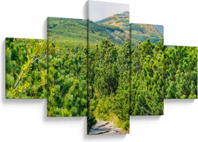 Obraz - Babia Góra, Polska (125x70 cm)