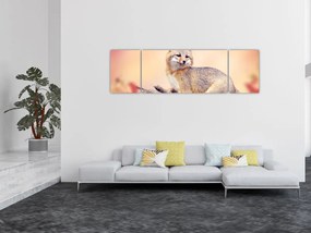 Obraz - Lis (170x50 cm)