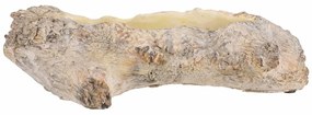 Osłonka na kwiaty w kształcie wydrążonego korzenia, 35 x 16 x 11 cm, beton