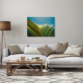 Obraz na szkle - Detal liścia palmowego (70x50 cm)