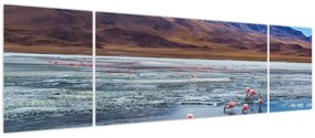 Obraz - Flamingi (170x50 cm)
