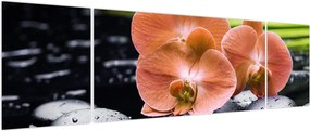 Obraz - Pomarańczowa orchidea z liśćmi palmy (170x50 cm)