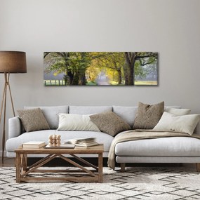 Zdjęcie - Smoky Mountains, Gatlinburg, USA (170x50 cm)