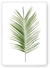 Plakat Palm Leaf Green