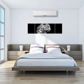 Obraz - Lampart (170x50 cm)