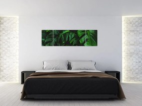 Obraz liści Monstery (170x50 cm)