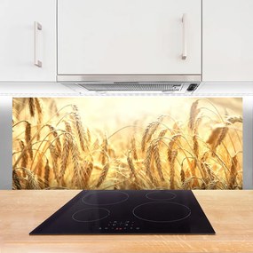 Panel Szklany Dojrzałe Kłosy Zboża