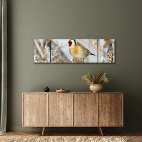Obraz - Szczygieł (170x50 cm)