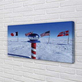 Fotoobraz na płótnie Brazylijska Flaga