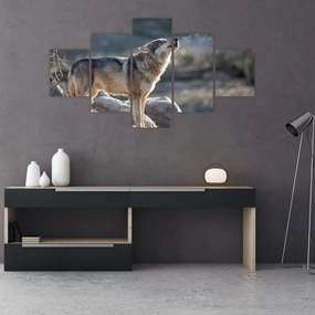 Obraz - Wyjący Wilk (125x70 cm)