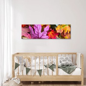 Obraz - jesienne liście (170x50 cm)