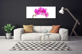 Obraz Canvas Storczyk Kwiat Orchidea
