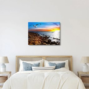 Obraz - Mewa lecąca nad wybrzeżem (70x50 cm)