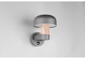 Zewnętrzna lampa ścienna (wysokość 24,5 cm) Fraser – Trio