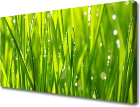 Obraz canvas Naturalny Urok Trawy