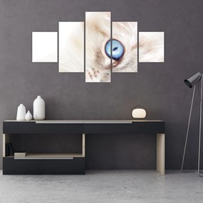 Obraz - Kotek (125x70 cm)
