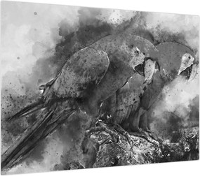 Obraz - Papugi akwarelowe (70x50 cm)