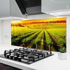 Szkło do Kuchni na Ścianę Złociste Pole o Poranku