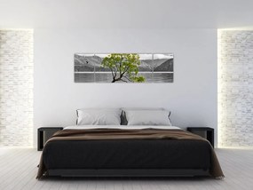 Obraz drzewa na środku jeziora (170x50 cm)