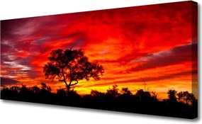 Obraz canvas na ścianę Głusza Leśnej Natury