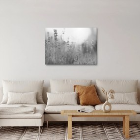 Obraz - Lawenda (70x50 cm)