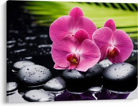 Obraz - Różowe orchidee z liściem palmy (70x50 cm)