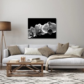 Obraz kwiatu orchidei (70x50 cm)