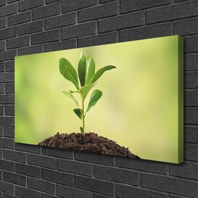 Obraz na płótnie Narodziny Życia: Młody Pęd