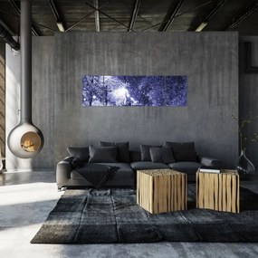 Obraz - Magiczna zimowa noc (170x50 cm)