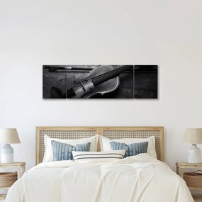 Obraz - Altówka (170x50 cm)