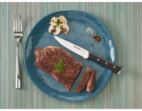 Zestaw noży ze stali nierdzewnej do steków 4 szt. Ice Force – Tefal
