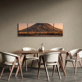 Obraz odbicia góry Taranaki, Nowa Zelandia (170x50 cm)