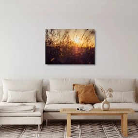 Obraz na szkle pola o zachodzie słońca (70x50 cm)