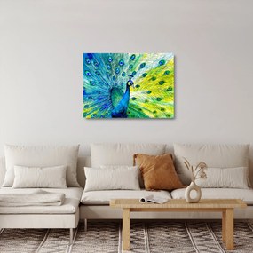 Obraz na szkle pawia (70x50 cm)