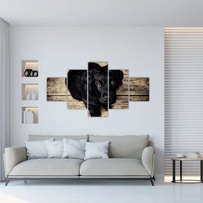 Obraz czarnego szczeniaka (125x70 cm)