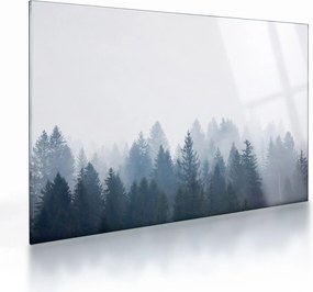 Obraz na szkle - Mglisty las (70x50 cm)