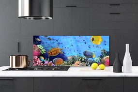 Panel nad blat kuchenny Podwodny Świat Rafy Koralowej