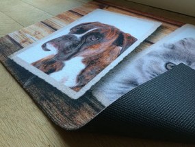 Wycieraczka Deco Star Album 40 cm x 60 cm